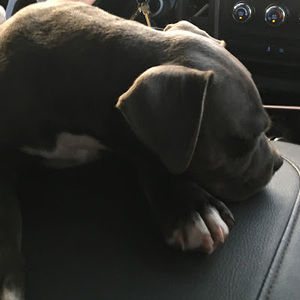 Meet your Posher, Cash